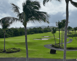 golf course in Puerto Rico 