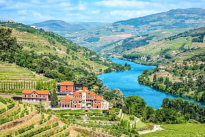 site selection services GoGather