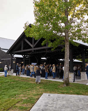 attendees at an outdoor venue