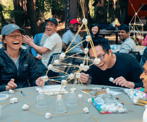 strayboots team building 2